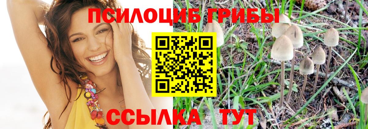 Галлюциногенные грибы Cubensis  Вход с VPN  Псилоцибиновые грибы мицелий  где купить наркоту  Калач-на-Дону 