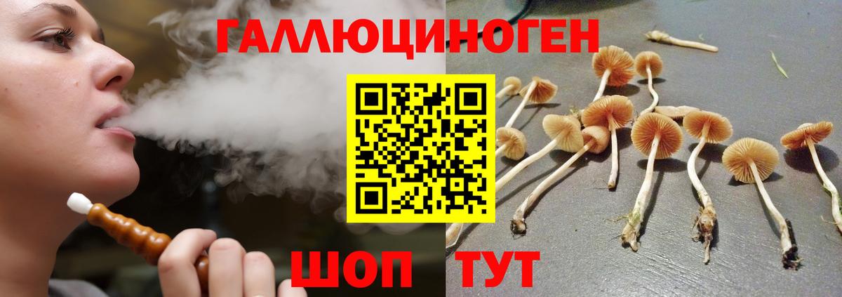 Галлюциногенные грибы Psilocybine cubensis Калач-на-Дону